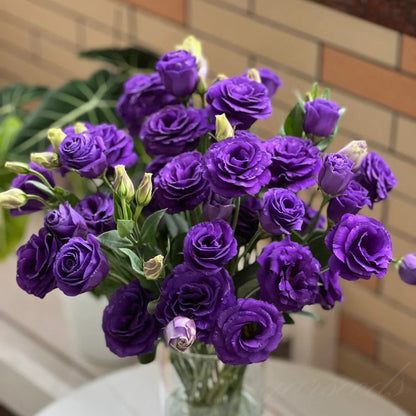 🔥Last Day 49% Discount - Sowing Lisianthus Flower Seeds for All Seasons🌿Suitable for Beginners