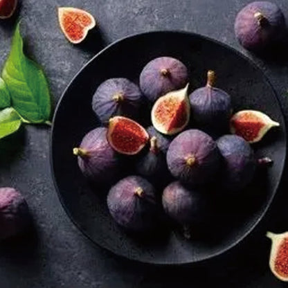 🔥Last Day 49% OFF - 🌿Brown Turkey Fig Seeds