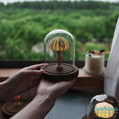 Whispers of the Sea Lamp: Unique Shell & Urchin Night Lights