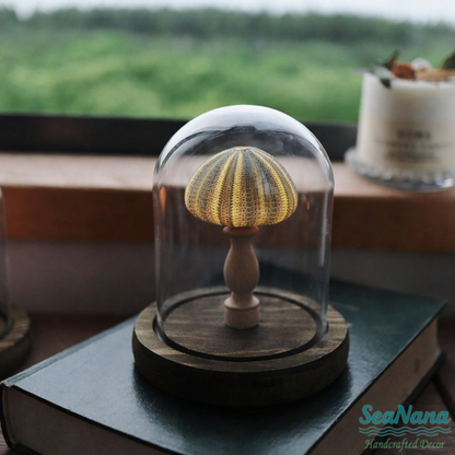 Whispers of the Sea Lamp: Unique Shell & Urchin Night Lights