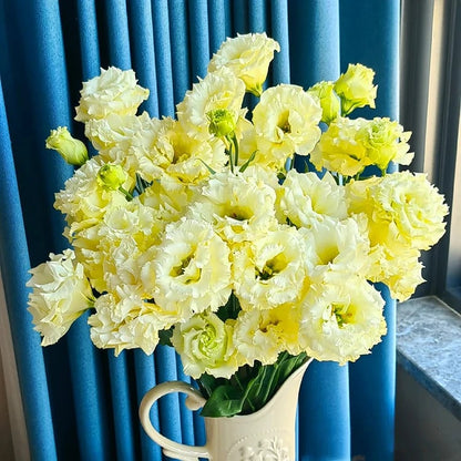 🔥Last Day 49% Discount - Sowing Lisianthus Flower Seeds for All Seasons🌿Suitable for Beginners