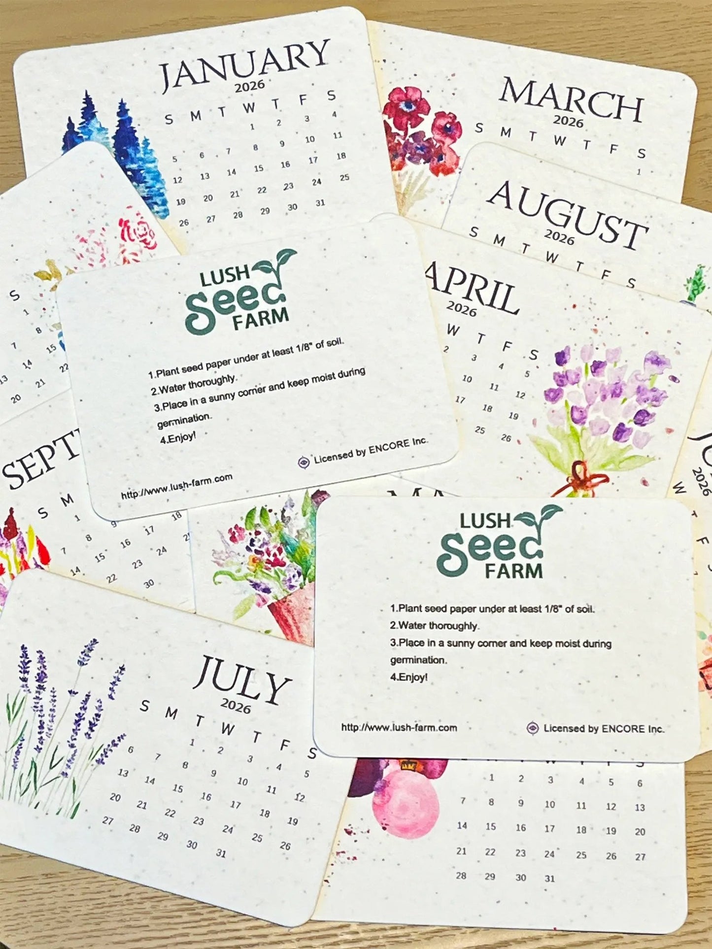 🔥Last day 49% OFF🌱Eco-Friendly Plantable Love Seed Calendar 2026