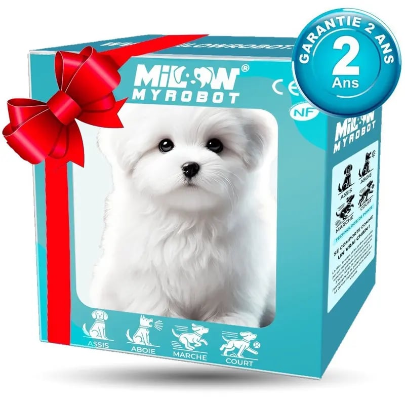 Puppy -003