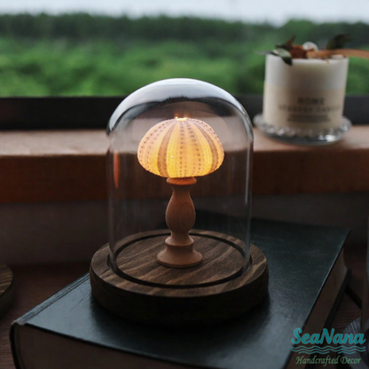 Whispers of the Sea Lamp: Unique Shell & Urchin Night Lights
