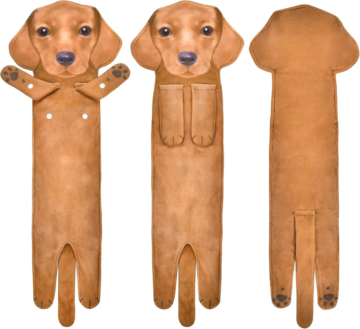 Dachshund Puppy