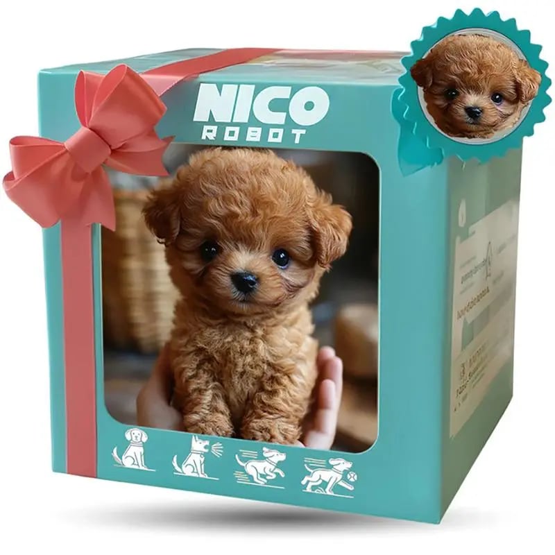 Puppy -001