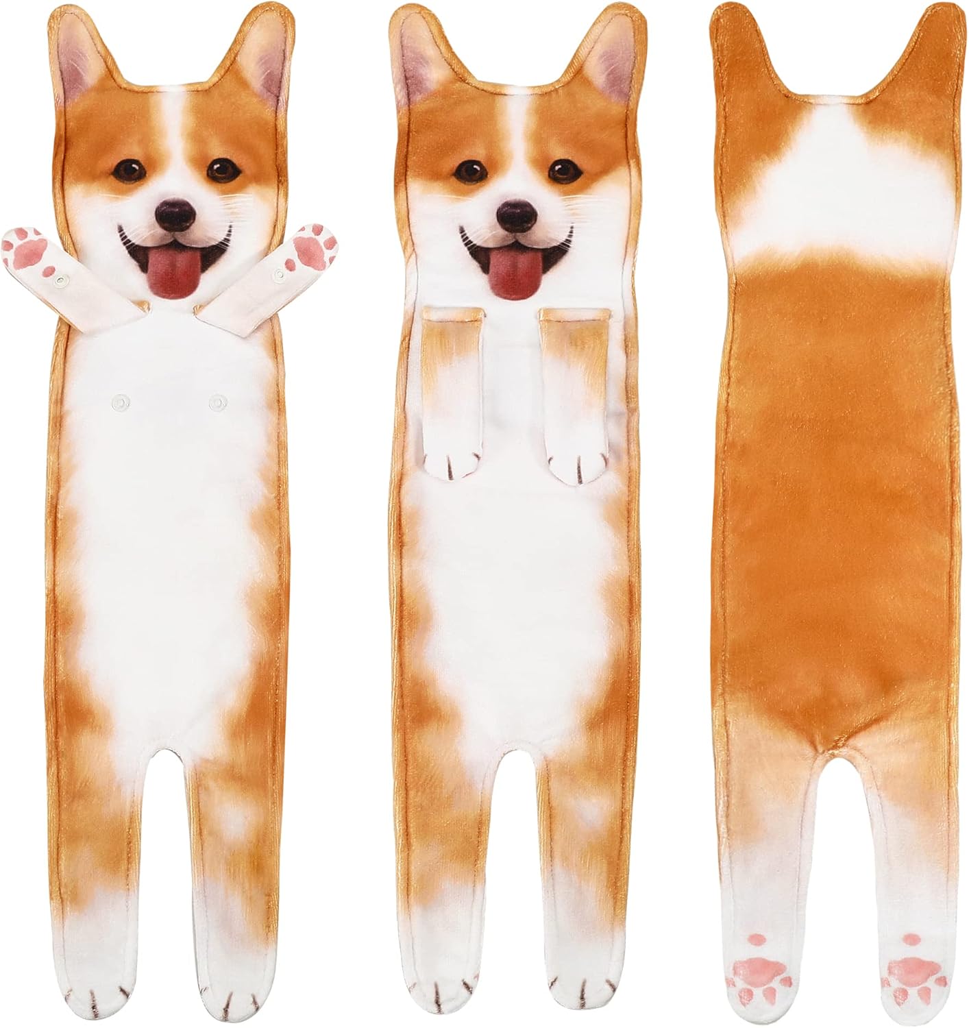Corgi Puppy