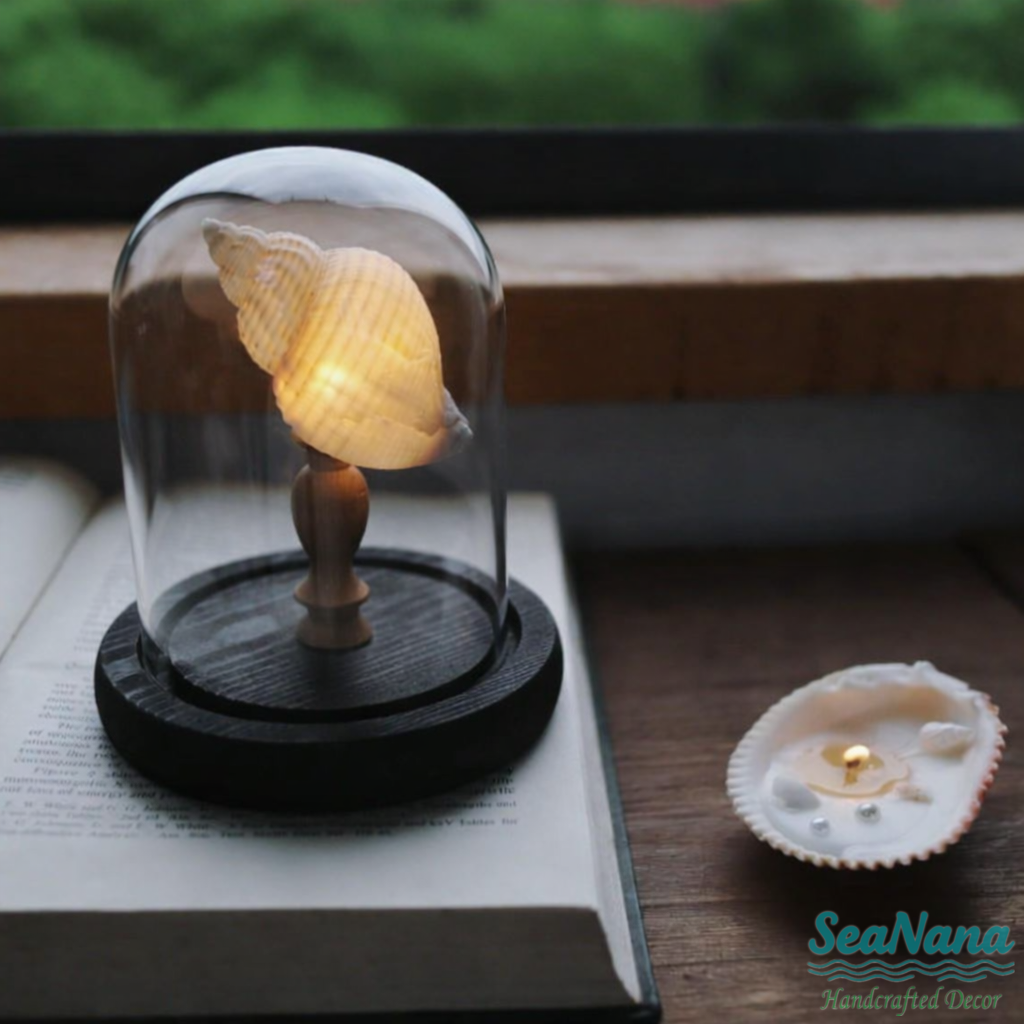 Whispers of the Sea Lamp: Unique Shell & Urchin Night Lights