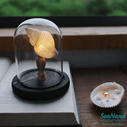 Whispers of the Sea Lamp: Unique Shell & Urchin Night Lights