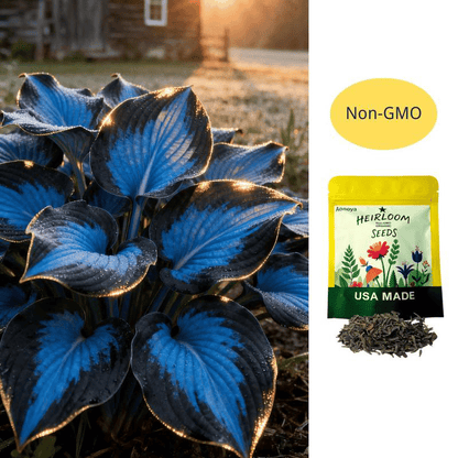 🔥Last Day 49% OFF-Premium Rare Hosta Seeds🌿Shade-Tolerant Plant