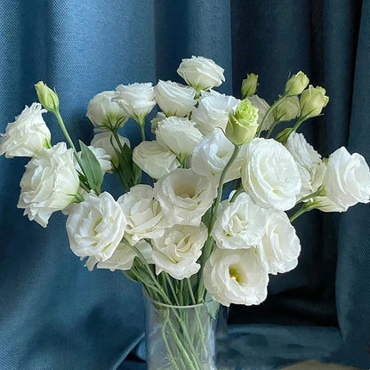 🔥Last Day 49% Discount - Sowing Lisianthus Flower Seeds for All Seasons🌿Suitable for Beginners