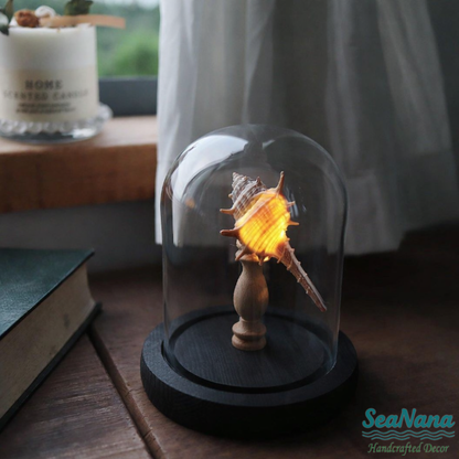 Whispers of the Sea Lamp: Unique Shell & Urchin Night Lights