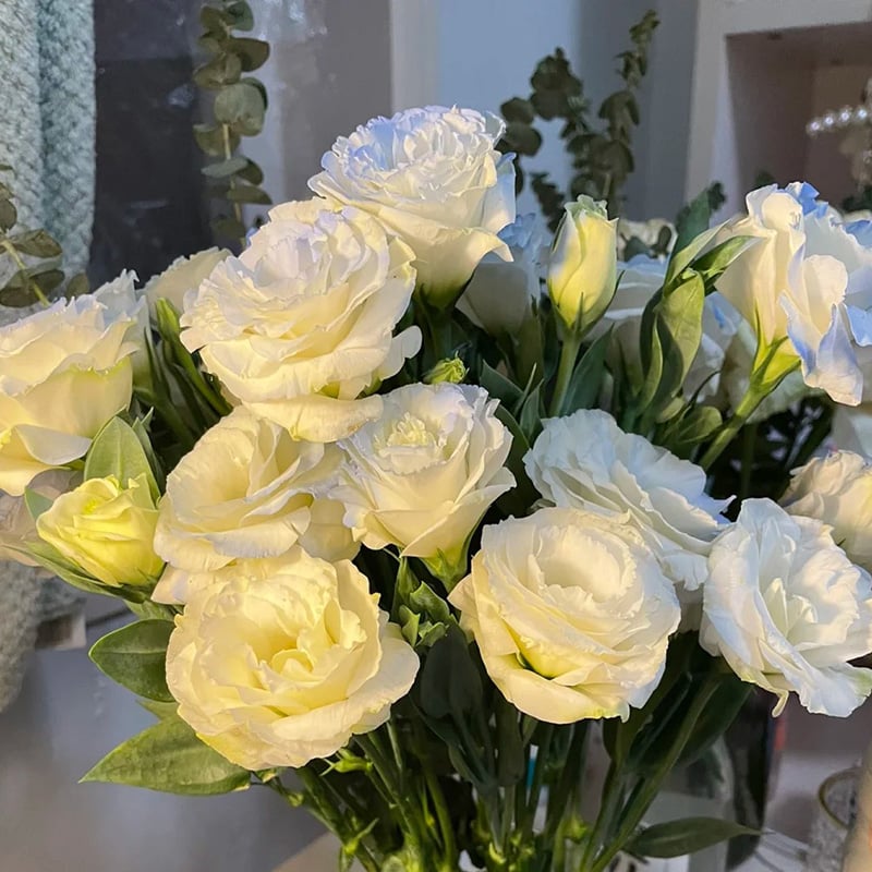 🔥Last Day 49% Discount - Sowing Lisianthus Flower Seeds for All Seasons🌿Suitable for Beginners