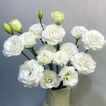 🔥Last Day 49% Discount - Sowing Lisianthus Flower Seeds for All Seasons🌿Suitable for Beginners