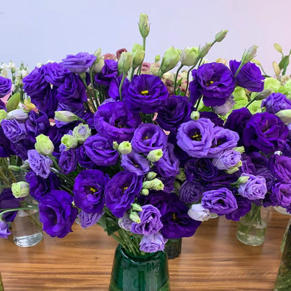 🔥Last Day 49% Discount - Sowing Lisianthus Flower Seeds for All Seasons🌿Suitable for Beginners