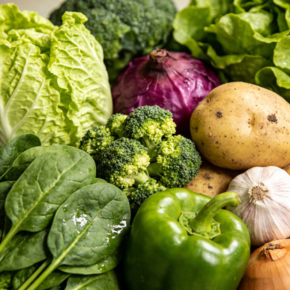 🚨 Grow Your Own Organic Veggies At Home | 35-Variety Seed Vault Kit🥦🥬🫑🌽🥔